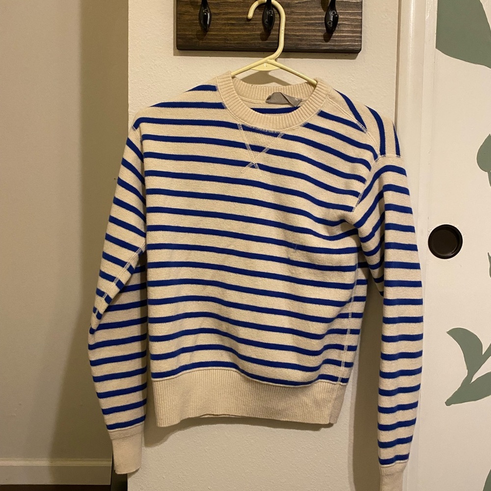 Everlane Blue and Cream Striped Knit